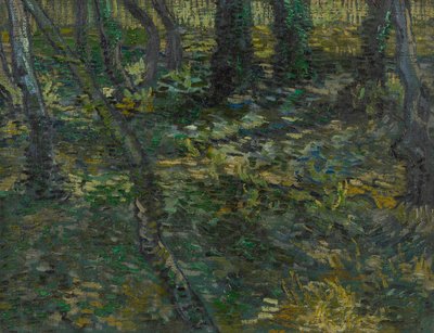 Undergrowth by Vincent van Gogh